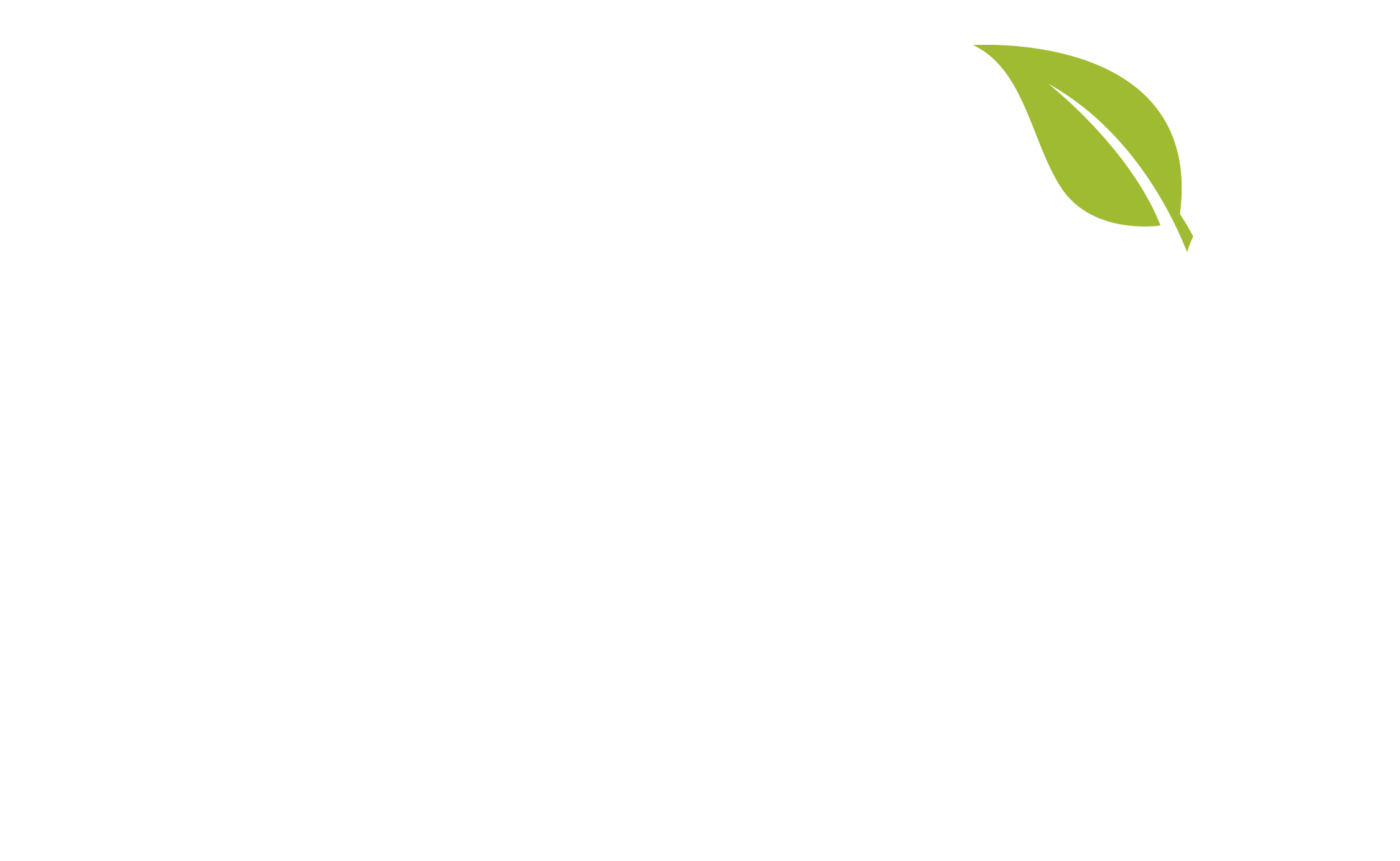 Camilas Auto Smart